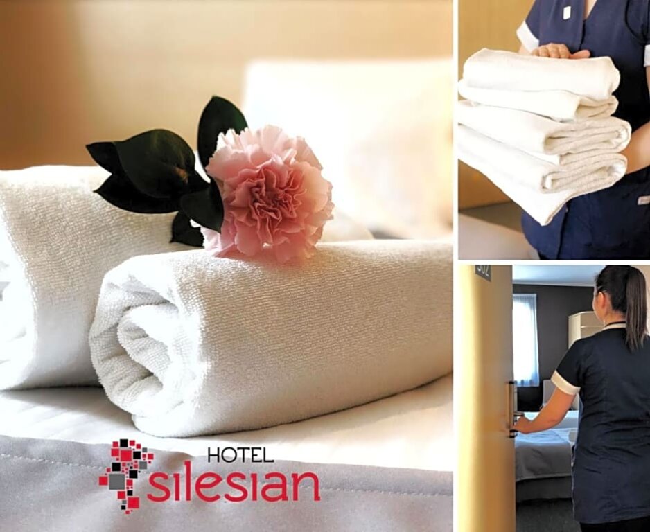 Standard Single room Quality Silesian Hotel