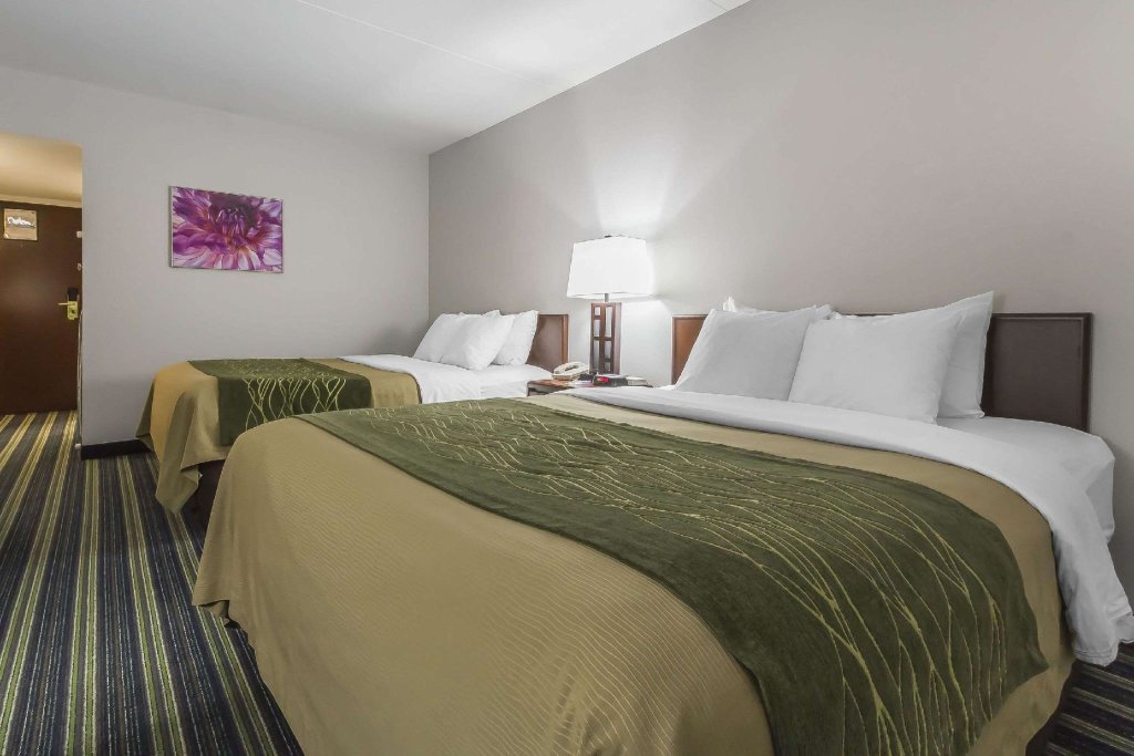 Четырёхместный номер Standard Цокольный этаж Comfort Inn & Suites Moose Jaw