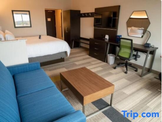 Suite Holiday Inn Express and Suites RICHBURG