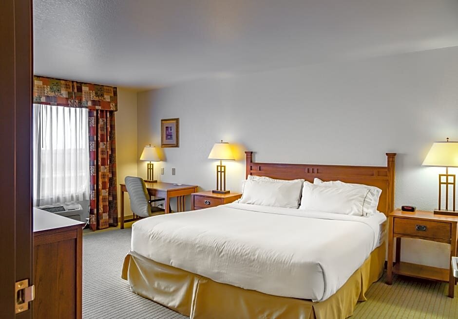 Двухместный люкс c 1 комнатой Holiday Inn Express Hotel & Suites Jacksonville, an IHG Hotel