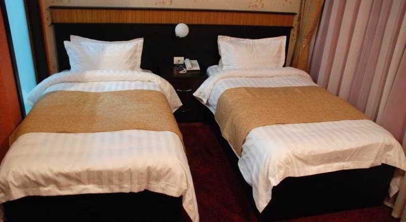 Standard double chambre Alp Inn Hotel