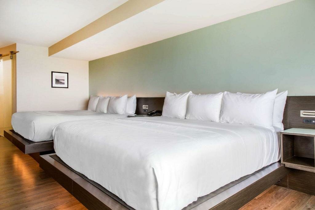 Standard Doppel Zimmer mit Blick Wyndham Newport Hotel
