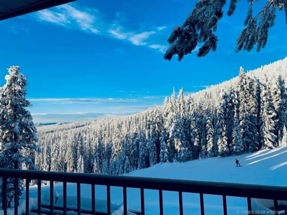 Апартаменты c 1 комнатой с видом на горы Nest on Perfection - Newly Renovated Ski In Ski Out Mountain View Condo