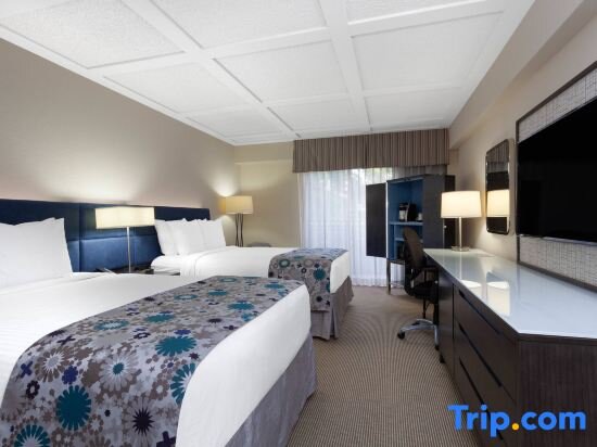 Standard Doppel Zimmer mit Poolblick Wyndham Boca Raton Hotel