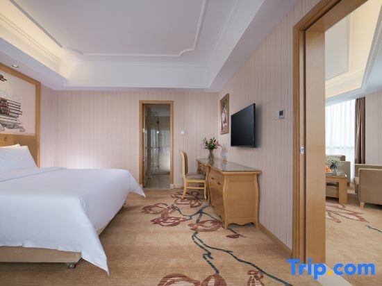 Business Suite Vienna Hotel