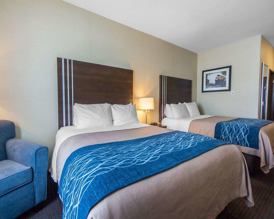 Standard Quadruple room Comfort Inn & Suites