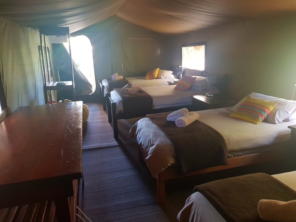 Tenda familiare Kunguru Lodge - Tri Active