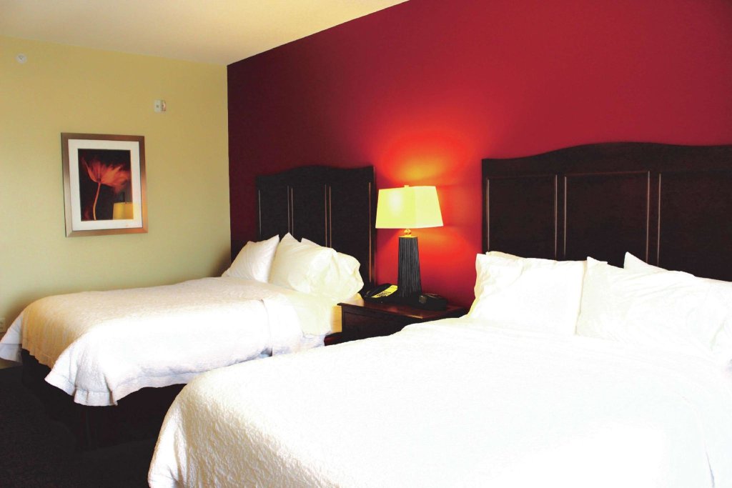 Standard double chambre Hampton Inn & Suites McAllen