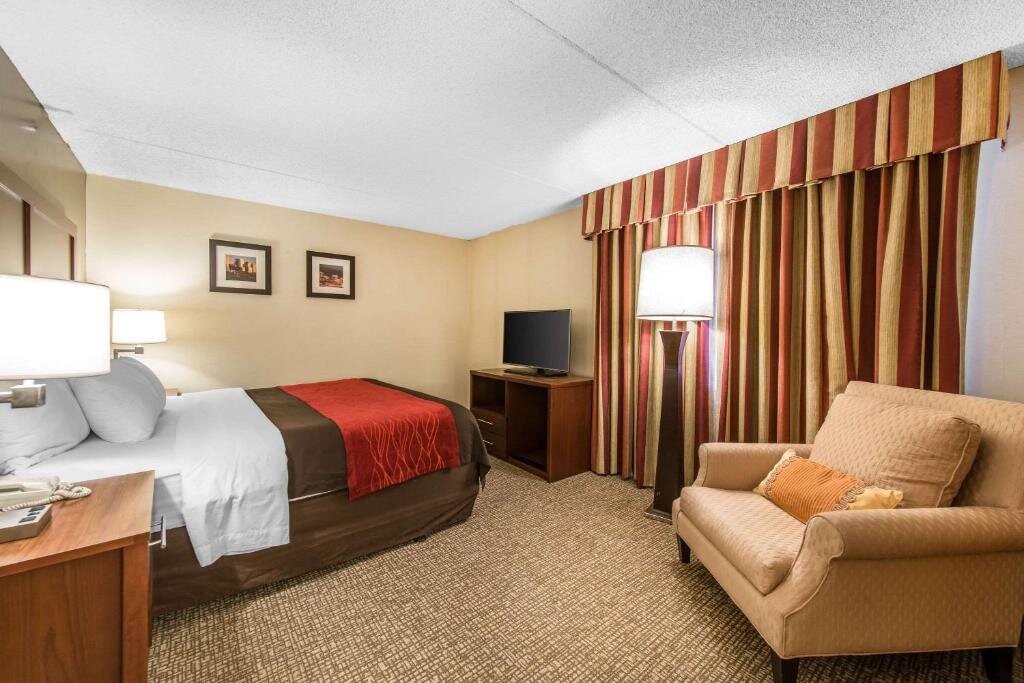 Двухместный люкс c 1 комнатой Comfort Inn & Suites Denver Northfield