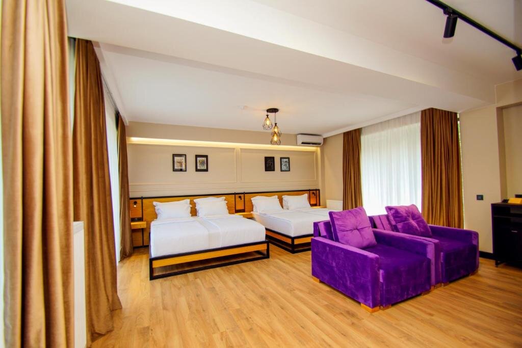 Deluxe Double room Borjomi Bridge Hotel