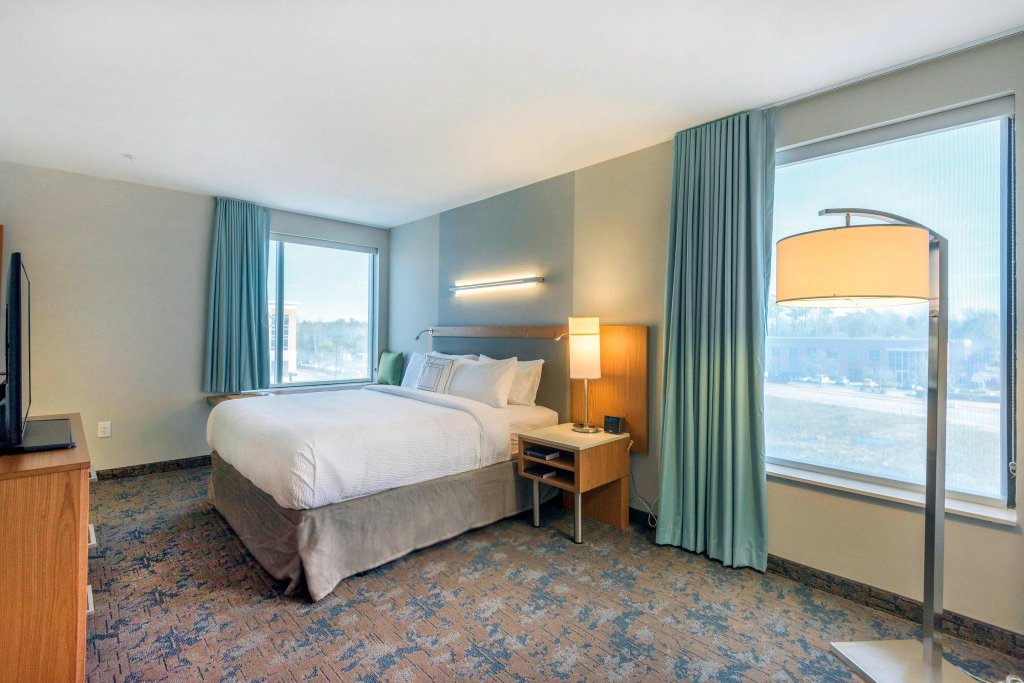 Double suite 1 chambre SpringHill Suites by Marriott Wilmington Mayfaire