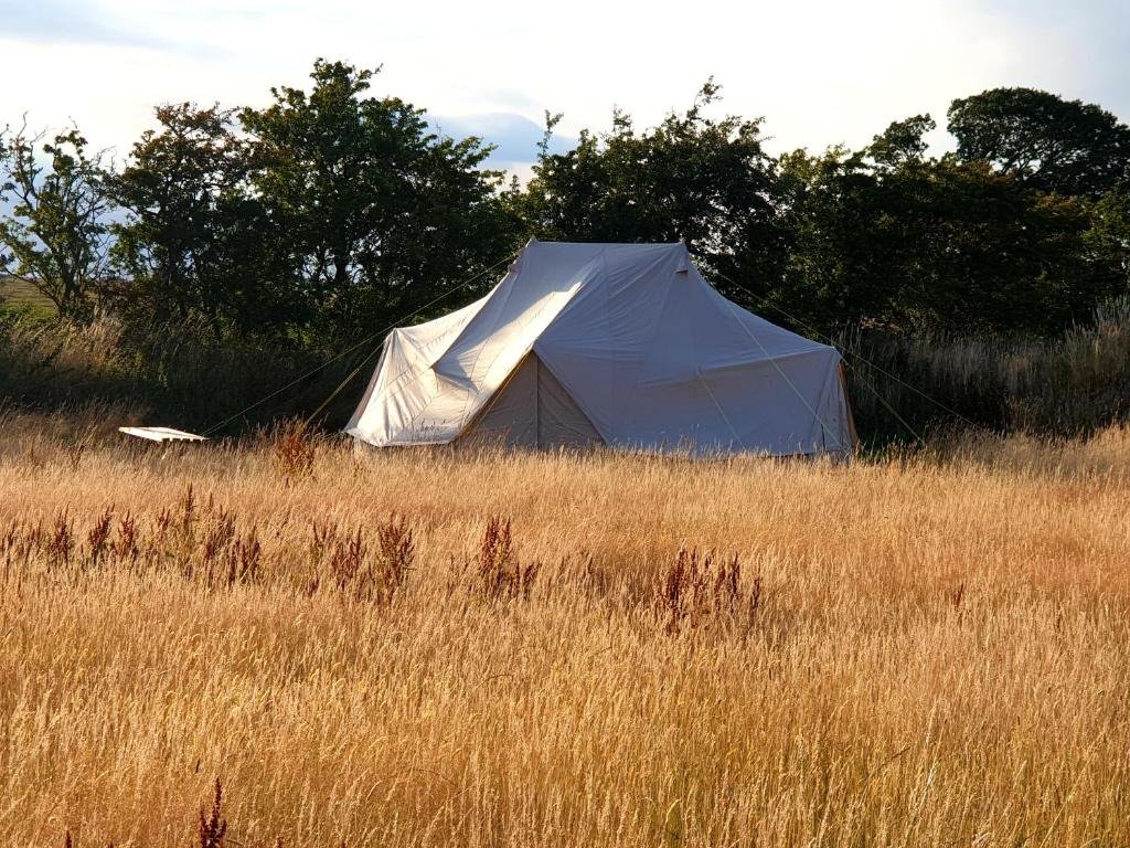 Standard Zimmer Stunning 6m Emperor Tent, Located Near Whitby