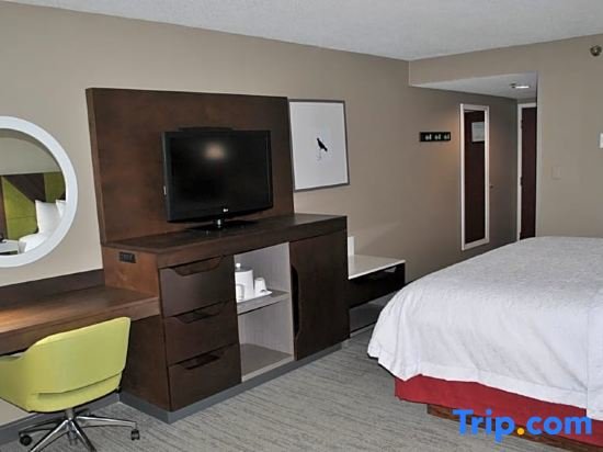 Люкс c 1 комнатой Hampton Inn & Suites-Atlanta Airport North-I-85