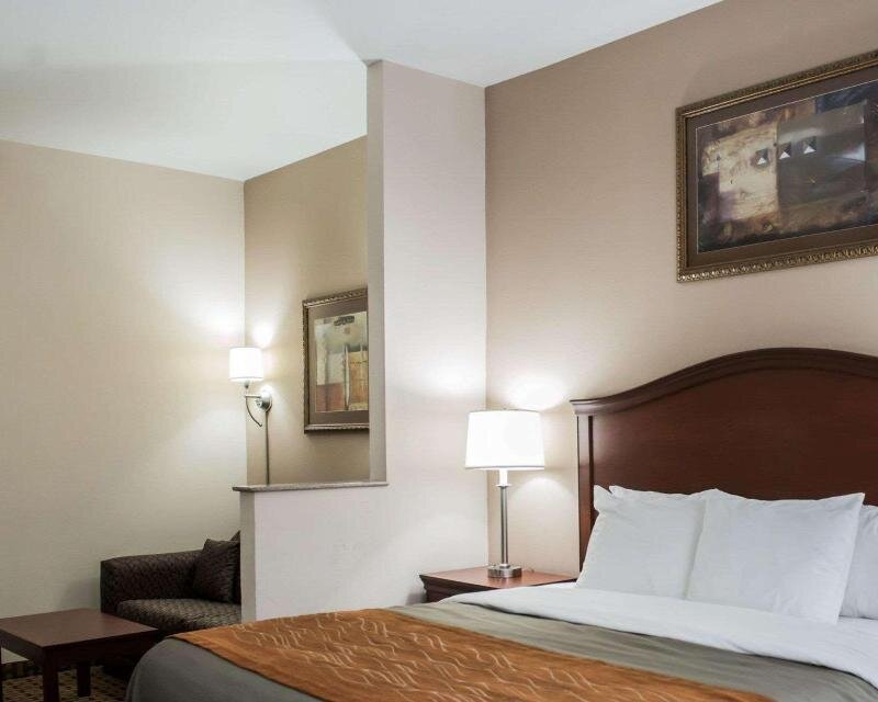 Люкс Standard Comfort Inn & Suites Midway - Tallahassee West