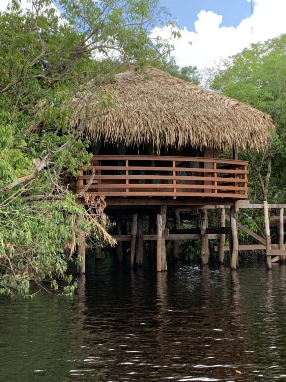 Habitación Estándar Juma Amazon Lodge