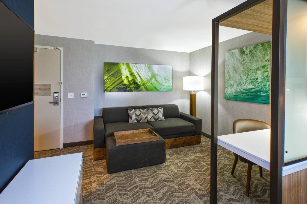 Двухместный люкс SpringHill Suites by Marriott St. Joseph Benton Harbor
