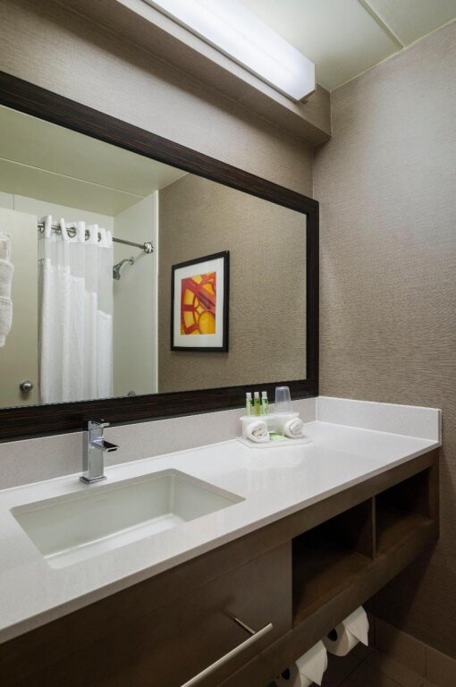 Двухместный номер Executive Holiday Inn Express Hotel & Suites King of Prussia, an IHG Hotel