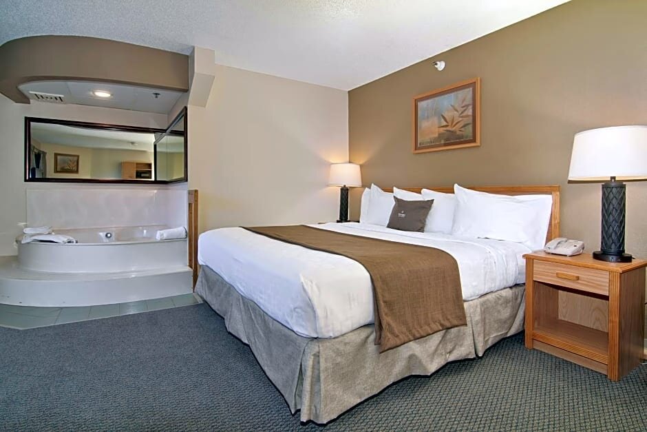 Standard Single room Boarders Inn & Suites by Cobblestone Hotels - Faribault