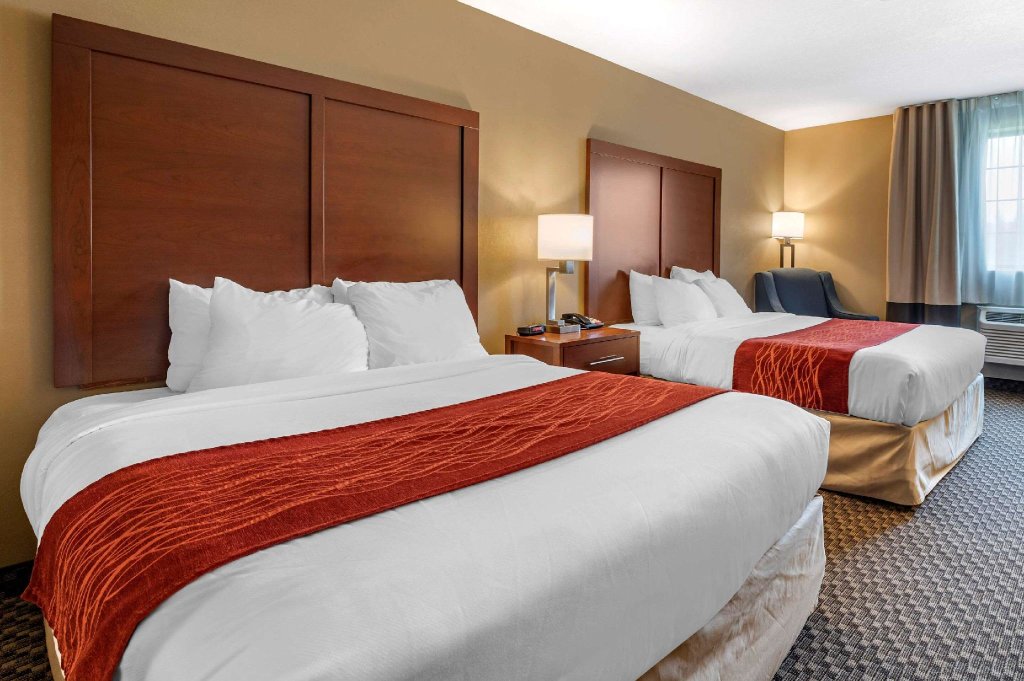 Standard Double room Comfort Inn & Suites Napoleon