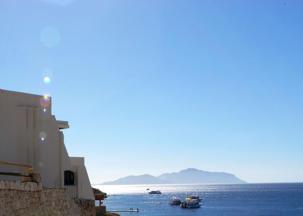 Shark's bay. Шаркс Бэй. Шарк Бей. Риф Sharks Bay Umbi Diving Village 3* Шарм-Эль-Шейх, Шаркс Бей. Sharks Bay Beach.