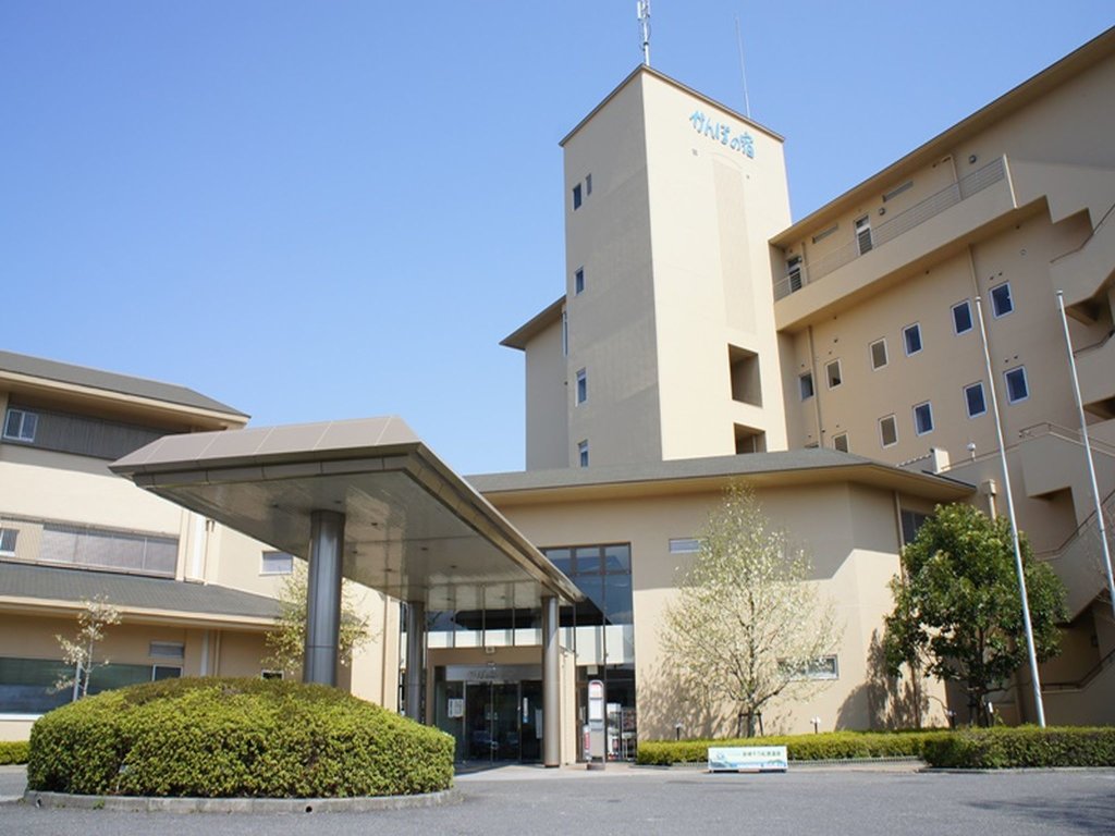 Habitación doble Estándar KAMENOI HOTEL Hikone