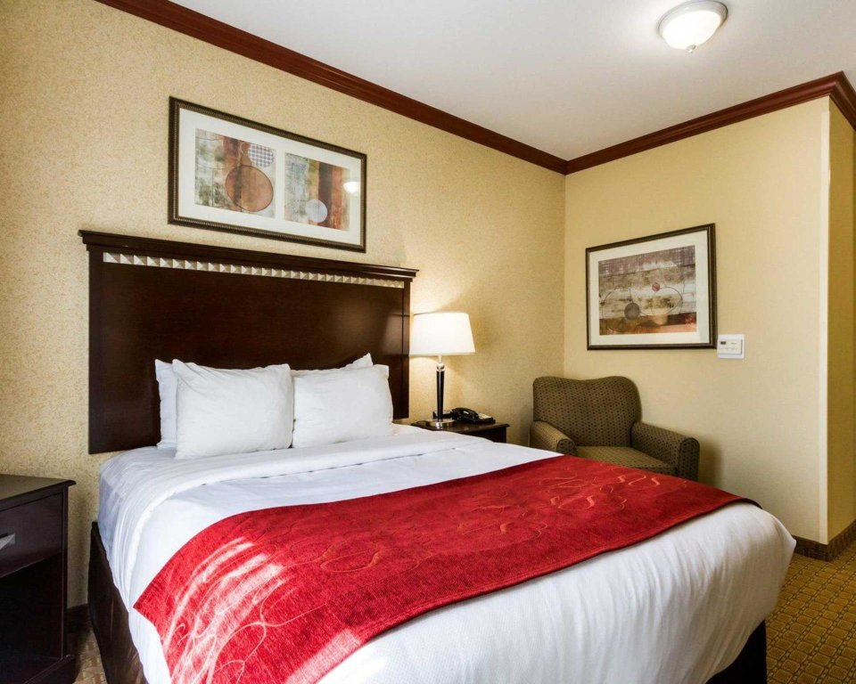 Standard room Comfort Suites Central