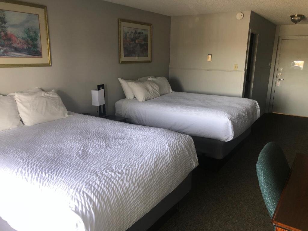 Standard Double room Satellite Hotel