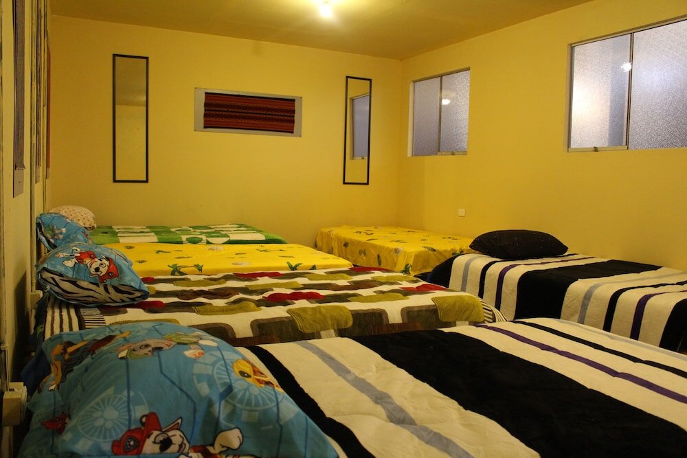 Кровать в общем номере The Silva Hostel