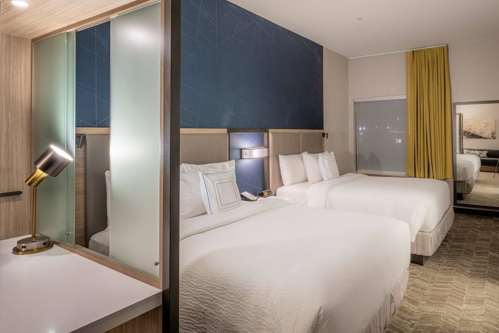 Двухместный люкс SpringHill Suites by Marriott Dallas McKinney
