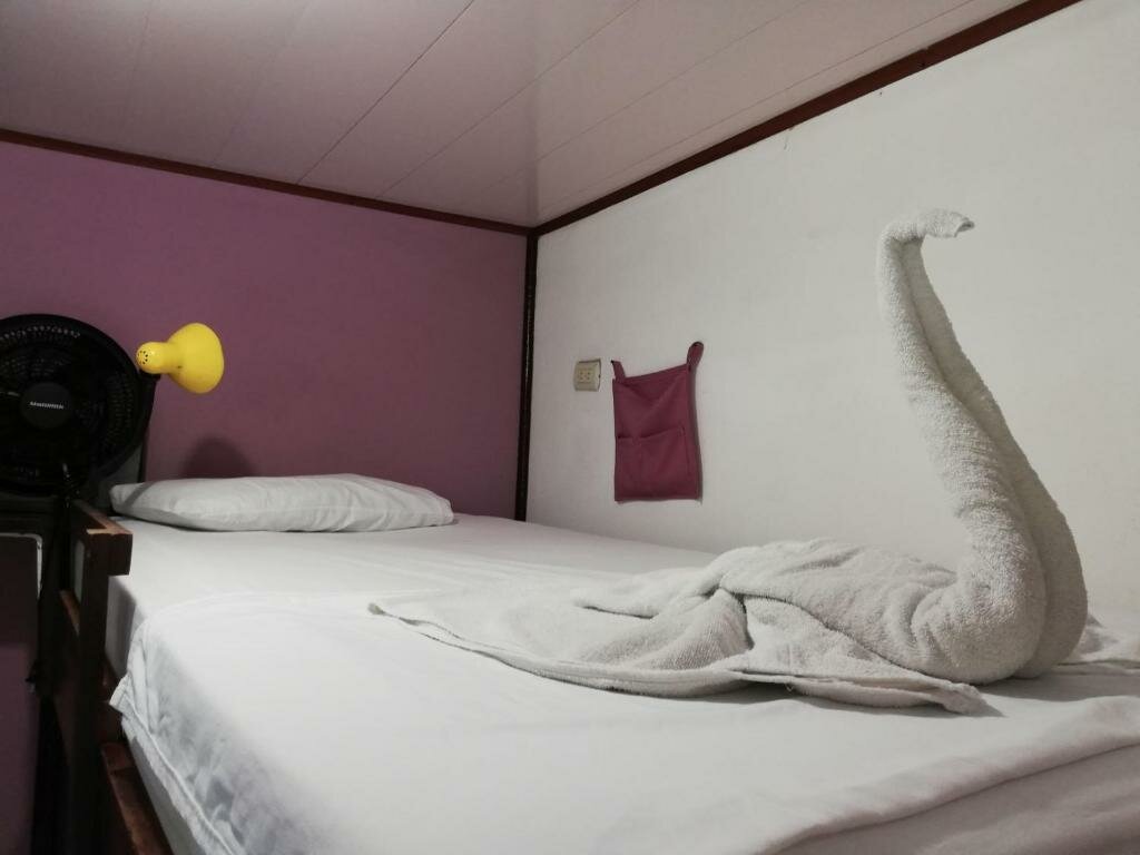 Bed in Dorm Aracari Garden Hostel