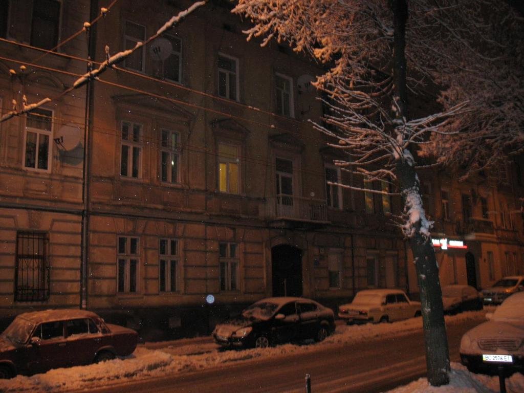 Apartment Flat on Sheptytskykh