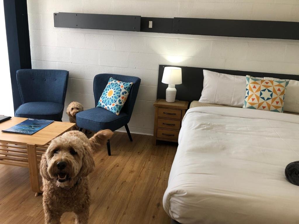Standard Doppel Zimmer South Seas Motel