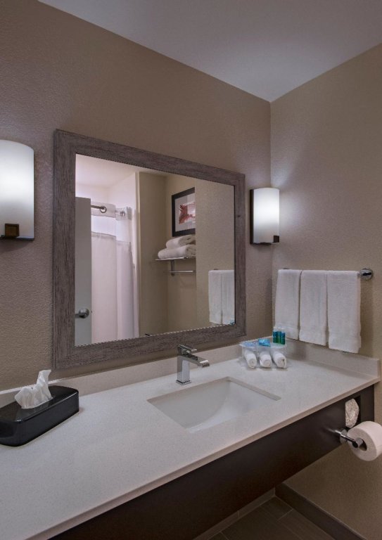 Standard room Holiday Inn Express & Suites Austin NW - Four Points, an IHG Hotel