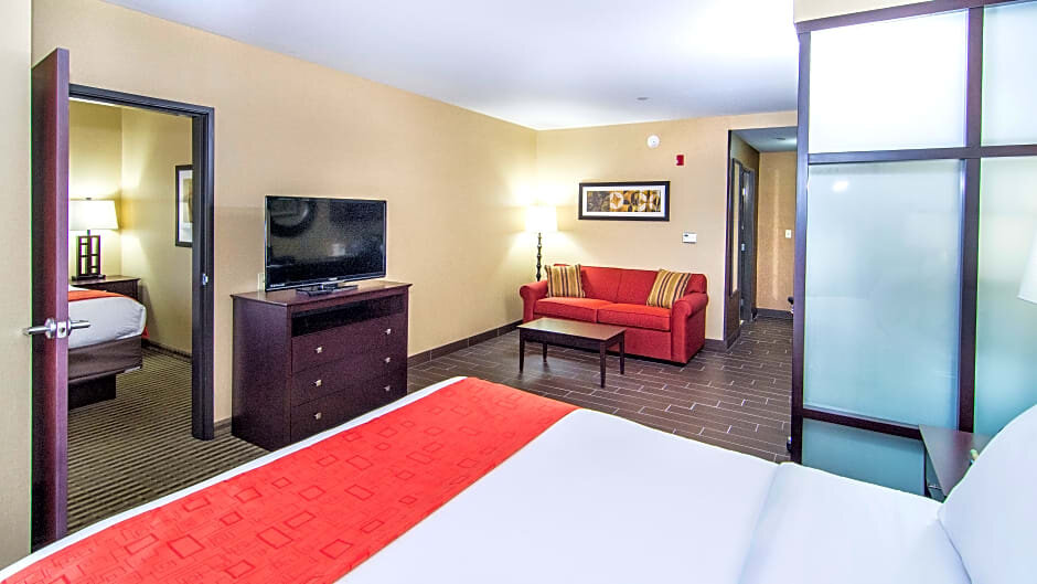 Четырёхместный люкс с 2 комнатами Holiday Inn Express & Suites Elkton - University Area, an IHG Hotel