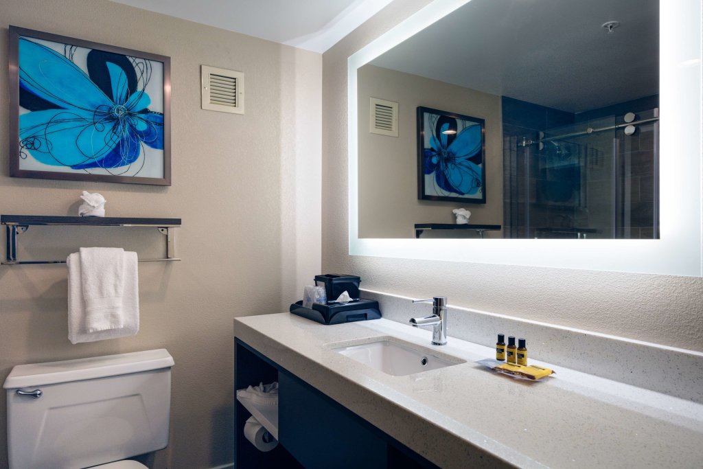 Standard Doppel Zimmer Best Western Plus Greenville I-385 Inn & Suites