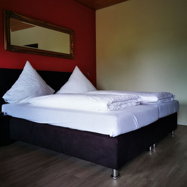 Standard room Hotel Hirschen
