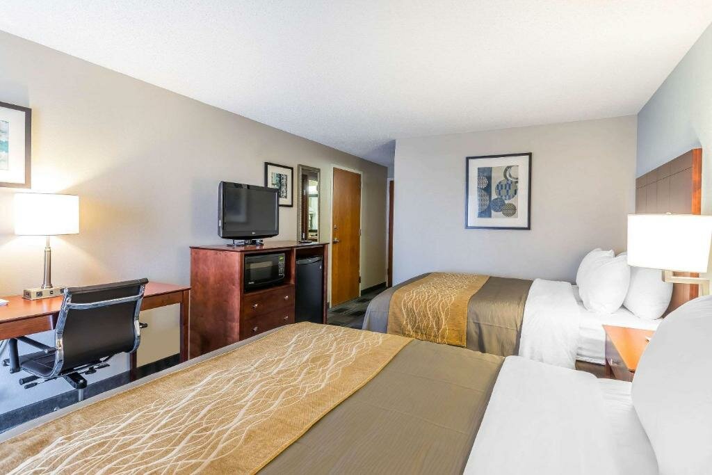 Standard double chambre Comfort Inn SW Omaha I-80