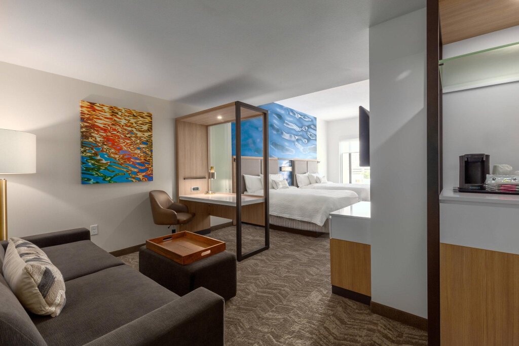 Двухместный люкс SpringHill Suites by Marriott Bradenton Downtown/Riverfront