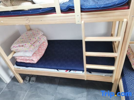 Кровать в общем номере (женский номер) Shenyang Dream Train Hostel