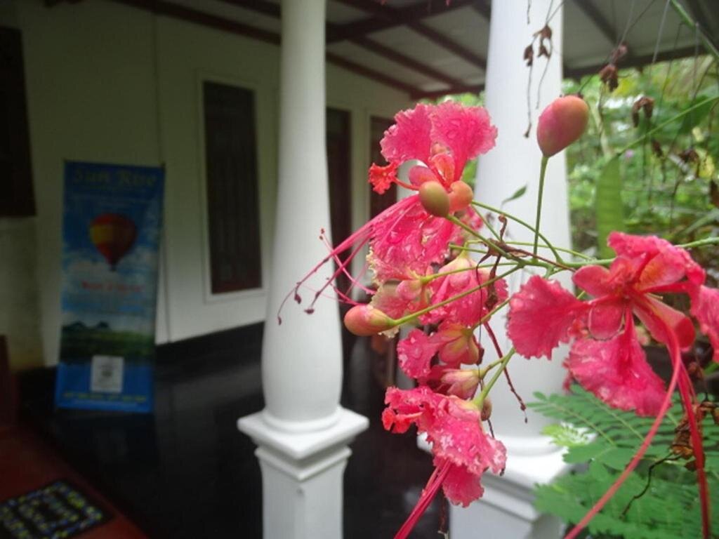 Standard Triple room with garden view Sigiriya Camellia Home Stay