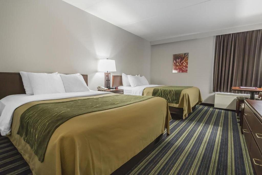 Двухместный номер Standard Цокольный этаж Comfort Inn & Suites Moose Jaw