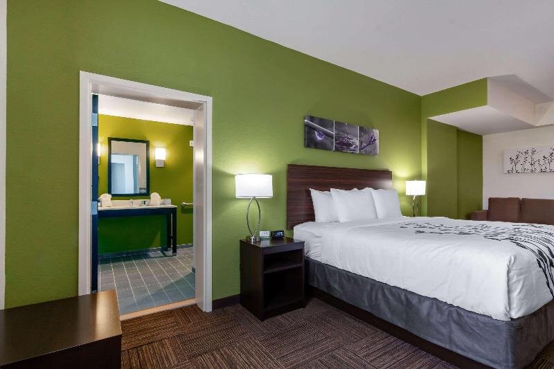 Suite doble Sleep Inn & Suites City Area
