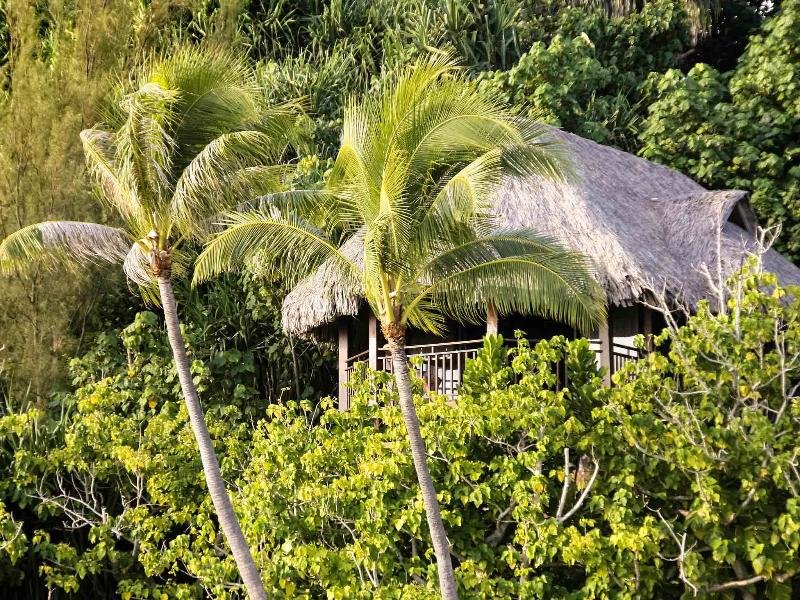 Бунгало Luxury с видом на океан Sofitel Bora Bora Private Island
