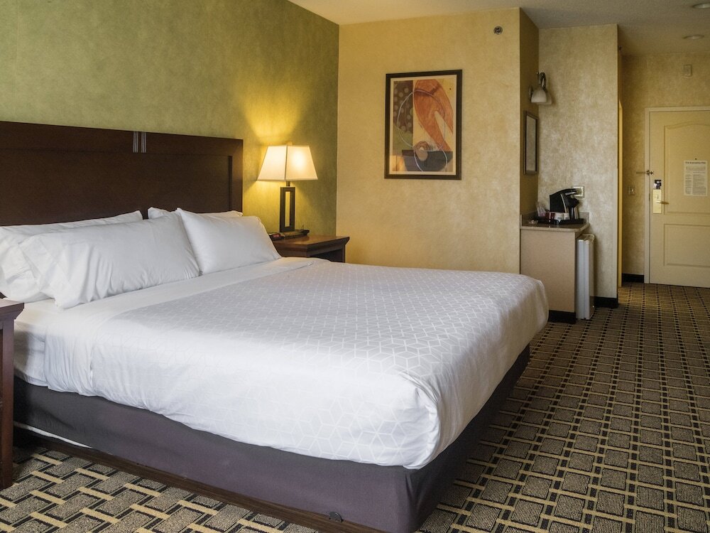 Habitación Estándar Holiday Inn Express & Suites Youngstown N , an IHG Hotel