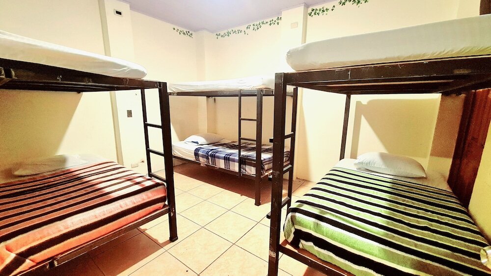 Кровать в общем номере Eco Hotel Puerto Urbano
