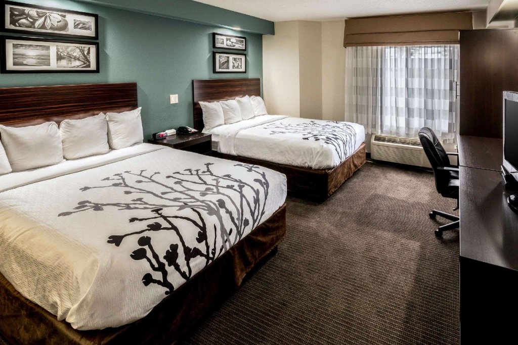 Standard quadruple chambre Sleep Inn and Conference Center