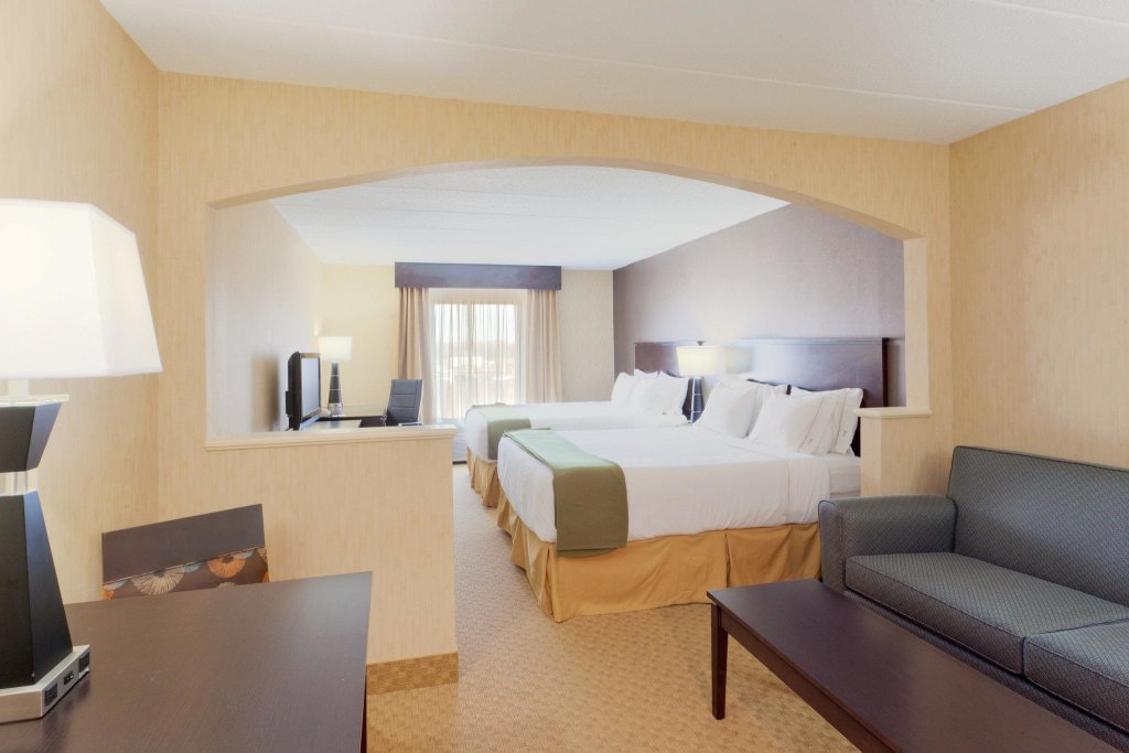Двухместный люкс Holiday Inn Express Hotel & Suites Dover, an IHG Hotel