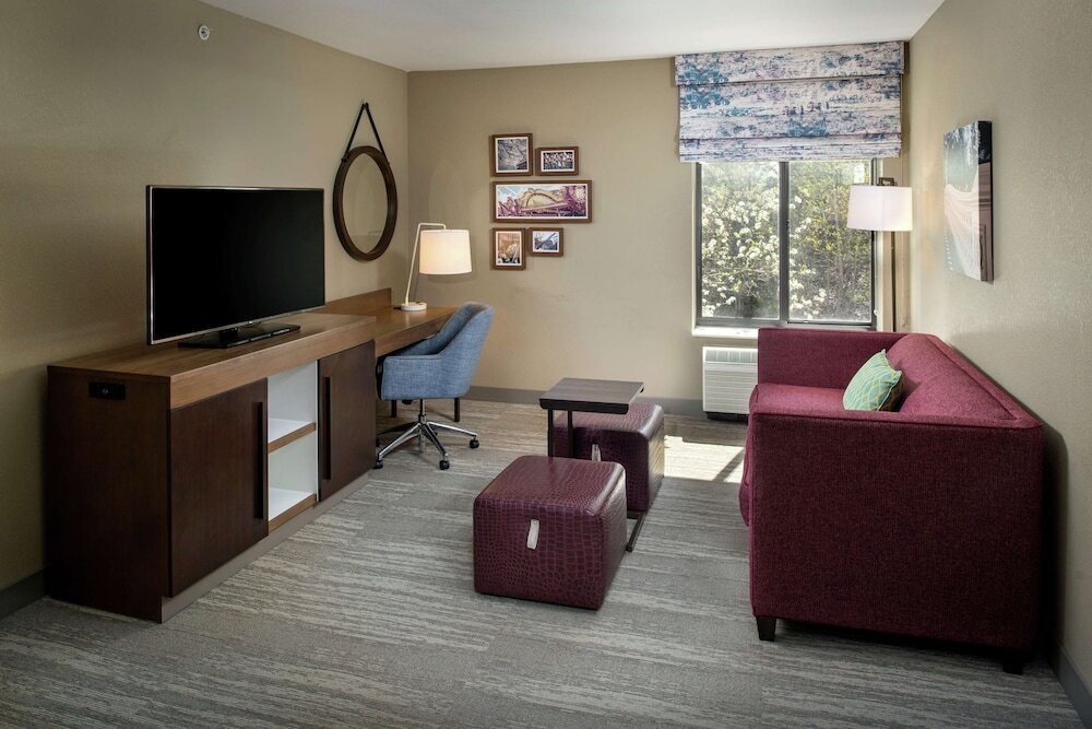 Номер Standard Hampton Inn & Suites Binghamton/Vestal