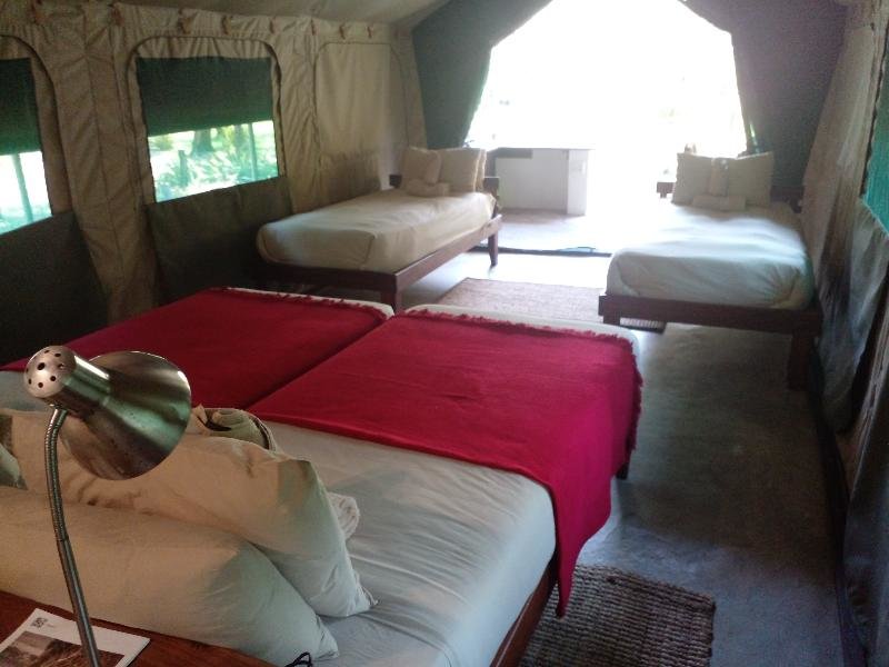 Тент c 1 комнатой Zambezi Mubala Camp