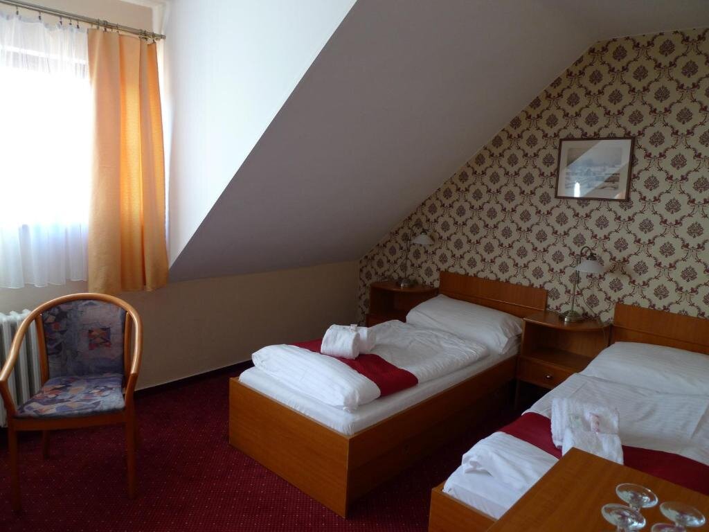 Четырёхместный номер Standard Hotel U Černého orla